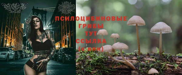 стафф Навашино